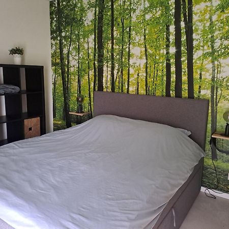 Ons Huusie Villa Noord-Sleen Luaran gambar
